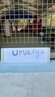 Inauguration of URVARYA Compost Shed at Kembre Farm (19 Feb 2025)